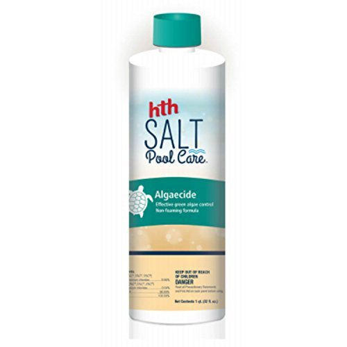 Hth pool algaecide salt pool care algaecide (67002)