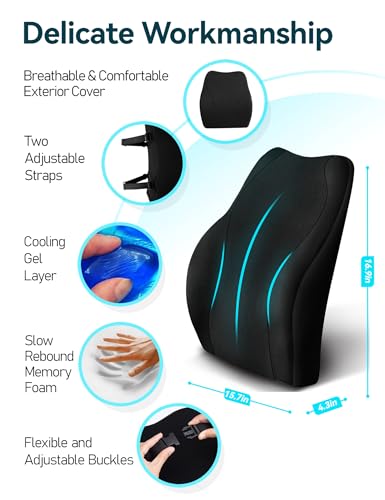 TRAVEL EASE Ergonomic Lumbar Support Cushion, Gel and Memory Foam Back Support Cushion for Office Chairs with Skin-Friendly Cover for Comfort (Black)