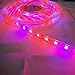 Toogod 16.4ft/5m 5050 Waterproof LED Strip Plant Growing Light Red Blue 4:1 Grow Light(Updated), Not Included Power Plug