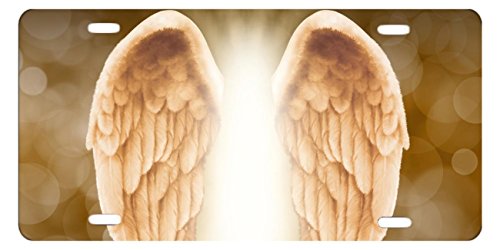 DQVWGK Custom Aluminum License Plate Frames Cover for Car License Plate Cover with 4 Holes Car Tag 6"x12" (Angel Wing)