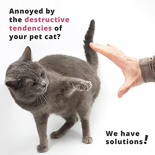 Cat Nail Clippers for Trimming and Grooming Sharp Toenails and Dew