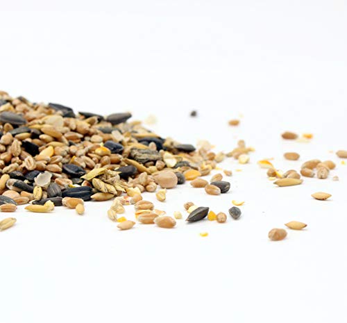 FutterXL 1kg Mecklenburger Landkörnerfutter - Premiumfutter für Hühner & anderes Geflügel - mit Getreide, Muschelgrit… – Bild 3