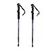 Hiking Poles 2 Pack by PowerTrek | Collapsible Walking Stick | Camping Backpacking Gear For Men And Women | Ideal For Trekking Trails Hikes And Climbing | All Accessories Included