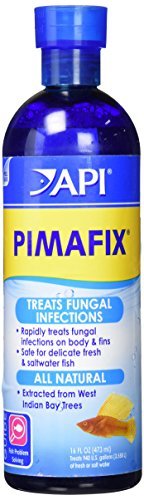 API Pimafix 16oz bottle by Mars Fishcare North America