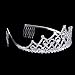 Thmyo Rhinestones Crystal Wedding Bridal Pageant Hair Jewelry Princess Tiara Crown Birthday Headband (Silver)