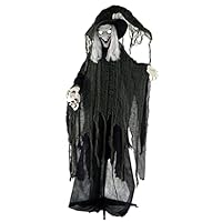 Haunted Hill Farm HHWITCH-4FLSA Life-Size Animated Wicked Witch Prop w/LED Crystal Ball, Battery-Operated Indoor/Outdoor Halloween Decoration, Color 1 Haunted Hill Farm HHWITCH-4FLSA Life-Size Animated Wicked Witch Prop w/LED Crystal Ball, Battery-Operated Indoor/Outdoor Halloween Decoration, Color 1