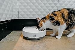 Cat Mate C500 - 5 Meal Digital Automatic Feeder