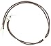 M & F Western Men's Braided With Tips Stampede String