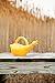 Lucky Duck Watering Can, Yellow, 1-Gallon