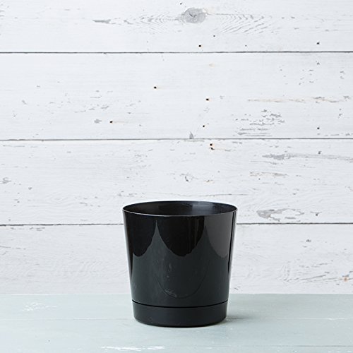 Full Depth Round Cylinder Pot, Black, 10-Inch