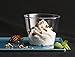 Embellish Crystal Clear Disposable Heavy Duty Plastic 5 Oz Dessert Cups, 40 Tumblers, Ideal For Wedding, Catering, Parties, Buffets, Events, Or Everyday Use, 2 Pack
