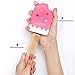 Ice-cream Popsicle Shaped Mirror Compact + Comb by Luscious Cosmetics | Super Cute Gift | Great For Makeup, Purses & Travel (Strawberry Pink)