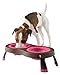 Popware for Pets Dexas Elevated Tandem Feeder Bowls with Legs, Small, Brown/Pink