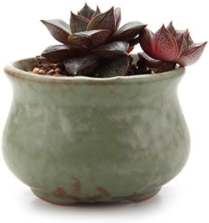 T4U 2.75"Spring Serial NO.5 Open Mouth Sucuulent Cactus Plant Pots Flower Pots Planters Containers Window Boxes Green