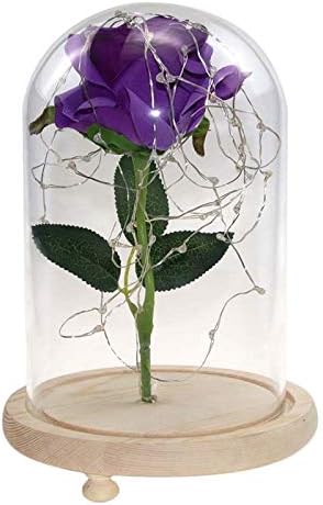 マジックローズ ローズ美女と野獣バラ 結婚式の装飾のためのバラでザ グラスドーム Green 日本産 Color