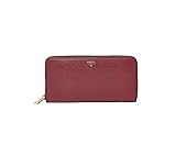 Fossil Sydney Zip Clutch