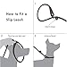Friends Forever Extremely Durable Dog Rope Leash, Premium Quality Training Slip Lead, Reflective, Thick Heavy Duty, Sturdy, No Pull, Comfortable For The Strong Large Medium Small Pets 6 feet, Red