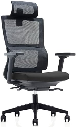 CMO High Back Mesh Ergonomic Office Chair with 2-to-1 Synchro-Tilt Control &amp; Headrest, Big and Tall 360 Degree Swivel Executive Computer Task Chair for Home Office Conference Room