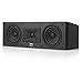JBL Arena 125C 2-Way, Dual 5.5-Inch Center Channel Loudspeaker (Black)