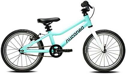 Bicycle Lisaped 16 Children's Bike