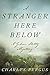 A Stranger Here Below: A Gideon Stoltz Mystery (Gideon Stoltz Mystery Series) by Charles Fergus
