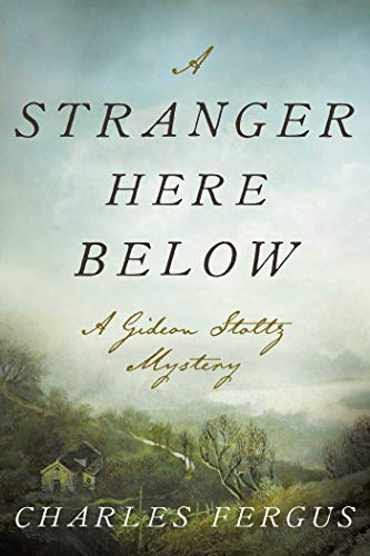 A Stranger Here Below: A Gideon Stoltz Mystery (Gideon Stoltz Mystery Series) by Charles Fergus