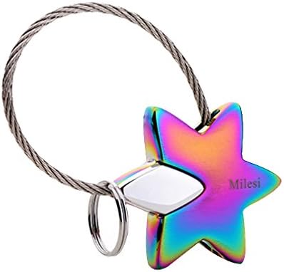 Couple keychain,Car Keychain,Flexible Cable Key Ring Key Chain Valentine's Day Gifts (Star,Multicolor)