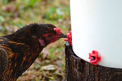 50 Pack - Make Your Own Waterer Kit - Horizontal Side Mount Chicken Nipples + Installation Piece