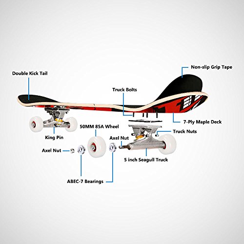 2 Hikole+Skateboard+Kids+Teen+Adult