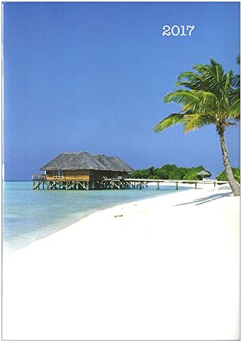 2017 Monthly Calendar Planner Organizer | Appointment Date Log Agenda Diary Journal Goals Dreams Accountability Book | 10 X 7 Hard Cover | Business School Fitness To Do List Time Management (Island)