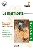 La marmotte by