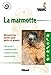 La marmotte by