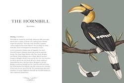 Ornithography: An Illustrated Guide to Bird Lore