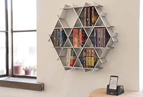 Modern Floating shelves, book shelf made of Cardboard, bookcase, wall shelf, Ruche shelving unit medium- chrome finish