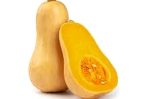 INSTANT LATCH 30 Butternut Winter Squash Seeds for Planting Non GMO Heirloom Seeds Fresh Fruit Garden Seed