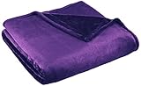 Northpoint, Cashmere Plush Velvet Blanket, Full/Queen, Purple