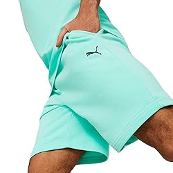 PUMA Men's Standard Mercedes AMG Petronas