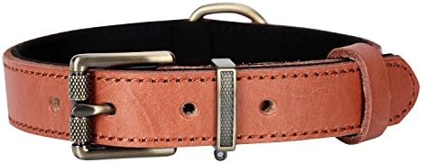 HAPPY HACHI Genuine Leather Dog Collar Adjustable Soft Luxury Pet Collar (L, Orange)