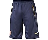 Puma Arsenal Men Training Short
