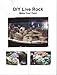 DIY Live Rock - Make Your Own! by 