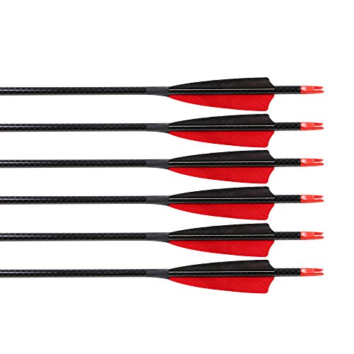 image for Huntingdoor 31 Inch Pure Carbon Arrows Spine 300 Archery Fletched 4 In