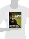 Image de Enciclopedia Del Mundo Animal (Family Encyclopedia) (Spanish Edition)