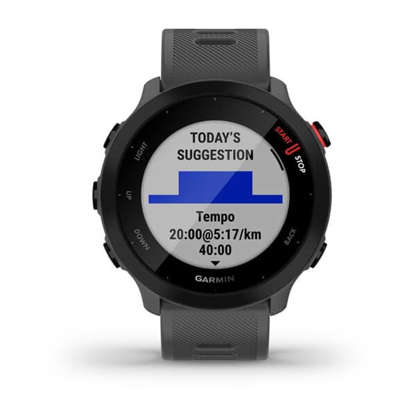 Garmin Forerunner 55 Monterra Grey, 010-02562-13, OS