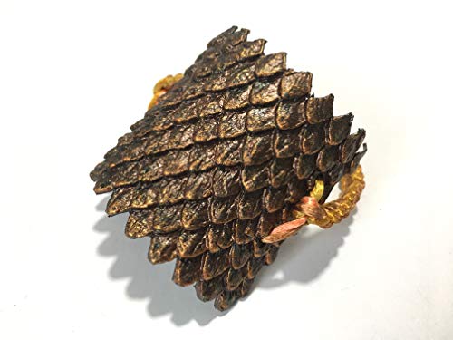 Katy Sue Dragon Scales Silicone Mold for Cake Decorating, Crafts, Cupcakes, Sugarcraft, Candies, Cookies, Cards and Clay, Food Safe Approved, Made in The UK - Thumbnail 7