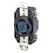 Leviton 2720 30 Amp, 250 Volt 3-Phase, Flush Mounting Locking Receptacle, Industrial Grade, Grounding, V-0-MAX, Black primary