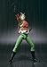 TAMASHII NATIONS Bandai Sky Rider S.H.Figuarts Kamen Action Figure