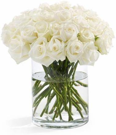 100 Fresh White Roses | 50 cm. long (20")