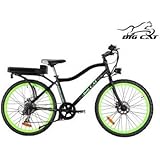big cat e bike