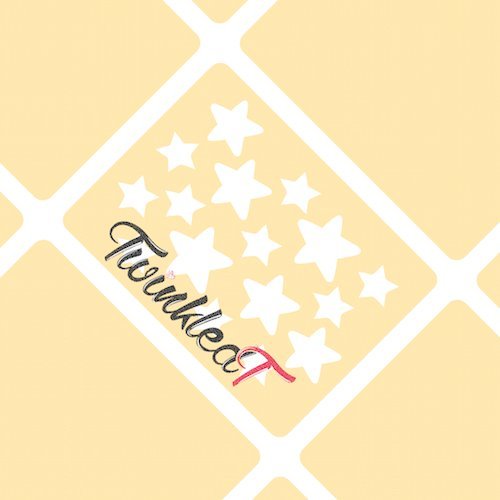Original Dainty Star Stencils Nail Vinyls By Twinkled T - 1 Sheet of 16 Stencils