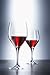 Schott Zwiesel Tritan Crystal Glass Mondial Stemware Collection Wine/Water Goblet Glass, 14.2-Ounce, Set of 6